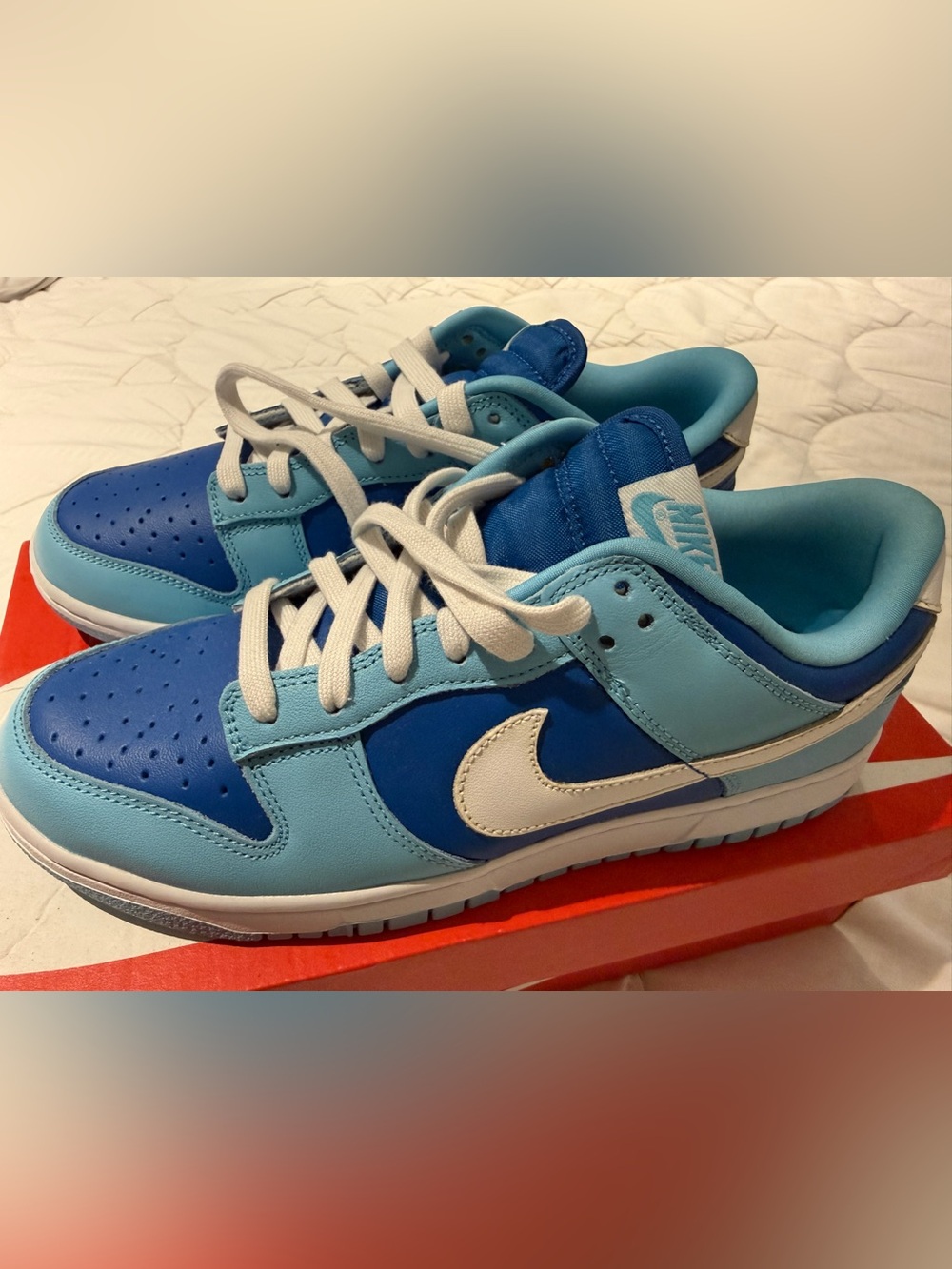Nike Two-Tone Light Blue and Blue Low-Top Sneakers